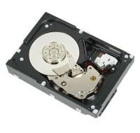 DELL 2TB 7.2K RPM SATA 6Gbps 512n 3.5in Cabled Hard Drive CK, PE T140, T150