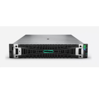 HPE PL DL380g11 4510 (2.4/12C) 2x32G (p64706) 2x960G SSD (P40498) 8SFF MR408i-o 2x1000W 4p1G Smart Choice