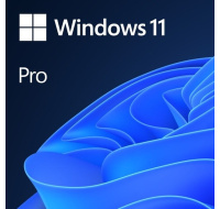 Windows 11 Pro 64Bit CZ OEM