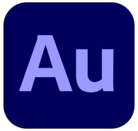 Audition for teams MP ML Education Named, 12 Months, Level 1, 1 - 9 Lic