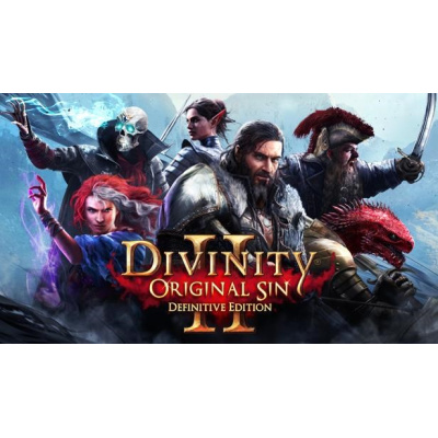 Divinity: Original Sin (PC) DIGITAL