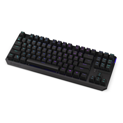 ENDORFY Klávesnice Thock TKL Wireless Black, Mechanická, Bezdrátová, ARGB, černá