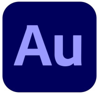 Audition for teams MP ML Commercial 1 User, 12 Months, Level 4, 100+ Lic