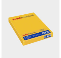 Kodak EKTACHROME E100 4X5 10 SHEETS