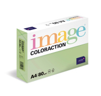 Antalis Papír Image Coloraction Forest - pastelově zelená (MG28) A4 (80g/100ks)