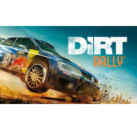 DiRT Rally (PC/MAC/LX) klíč Steam