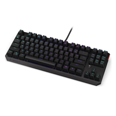 ENDORFY Klávesnice Thock TKL CZ Brown, Mechanická, USB, ARGB, černá