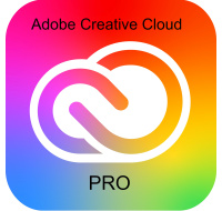 Adobe Creative Cloud Pro PLUS for teams MP ML (+CZ) Government 1 User, 12 Months, Level 2, 10-49 Lic