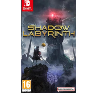 NS hra Shadow Labyrinth