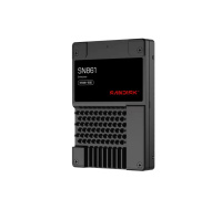 SanDisk Carrera Syndicate SSD 1.6TB DC, SN861, PCIe Gen5, (R:13700, W:3600MB/s), BICS6 TLC NVMe U.2, SE,Generic