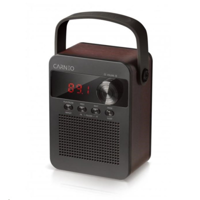 CARNEO F90 FM rádio, bluetooth reproduktor, black/wood